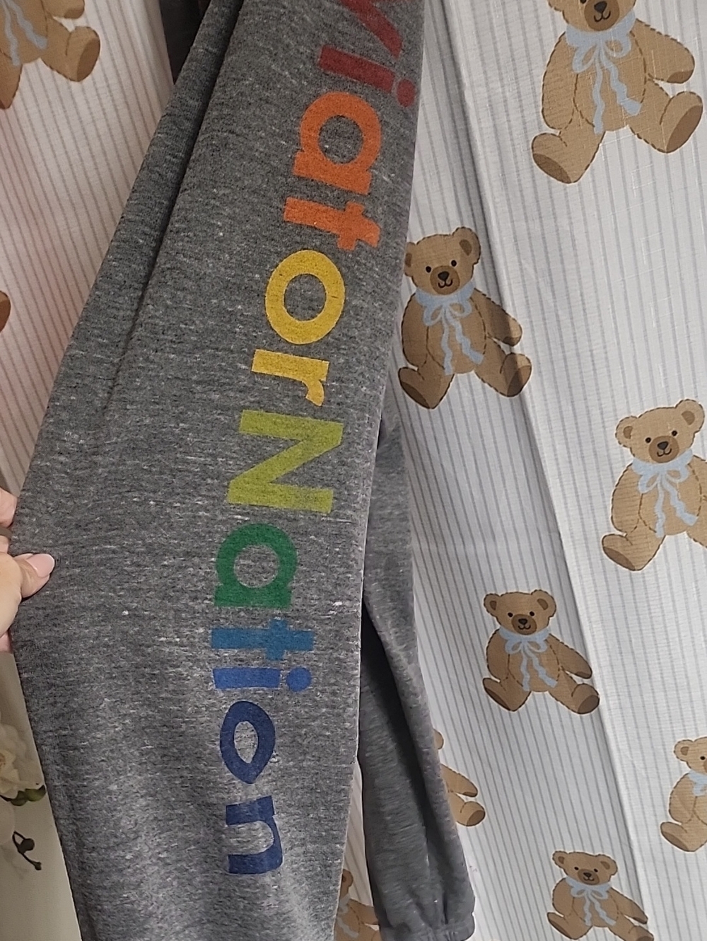 Aviator Nation Gray Joggers with Rainbow Stripe Label - Picture 3 of 5